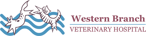 Western Branch Veterinary Hospital  Home