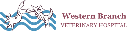 Western Branch Veterinary Hospital